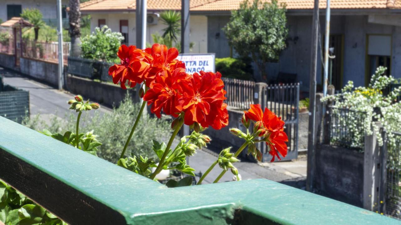 Grotta Del Monaco Bed and Breakfast Pedara Εξωτερικό φωτογραφία