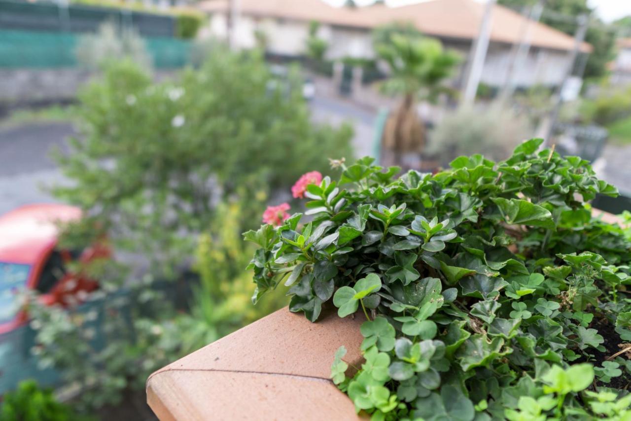 Grotta Del Monaco Bed and Breakfast Pedara Εξωτερικό φωτογραφία