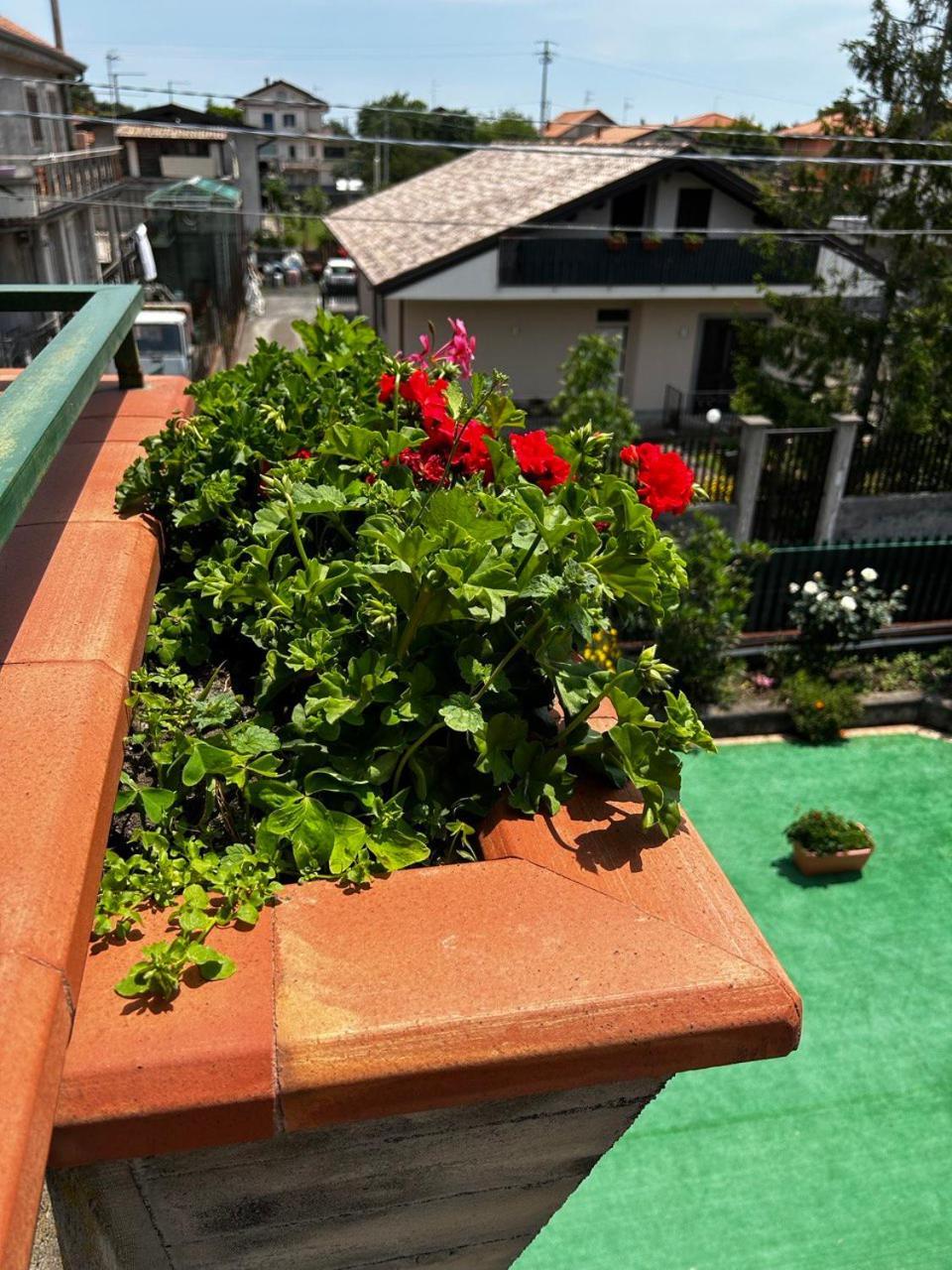 Grotta Del Monaco Bed and Breakfast Pedara Εξωτερικό φωτογραφία